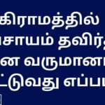 கிராமத்தில் விவசாயம் தவிர்த்து தின வருமானம் ஈட்டுவது எப்படி